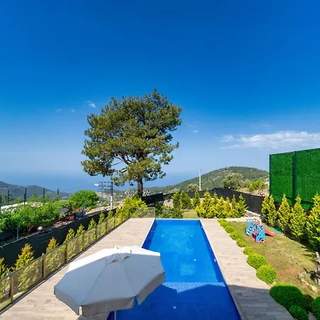 Mika * Fethiye